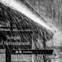 Second Pedro Landers Rain