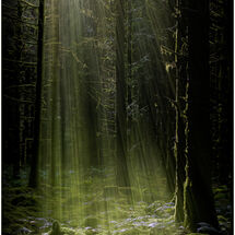 Second Pete Grant_Halvanna sun-rays