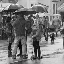 Second Sheltering from the Rain Val Carpenter