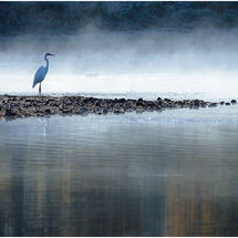 Third A time for reflection Anne Parsons