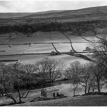 Third Chris Pollard Plenty of Stone