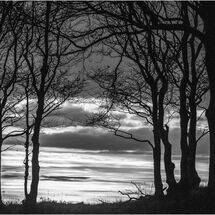 Third Chris Pollard Solitude