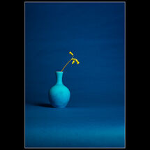 Third Chris Robbins Blue and Yellow