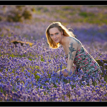 Third Down in the Bluebells Chris Robbins