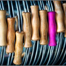 Third Geoff Trevarthen_Odd One Out