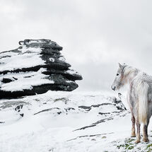 Third Heather Bodle Out In The Cold