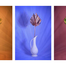 Third Heather Bodle Triptych in Colour