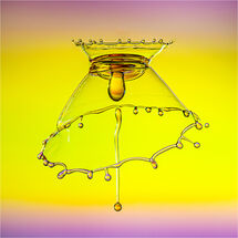 Third Hugh Letheren The Crowned Bell