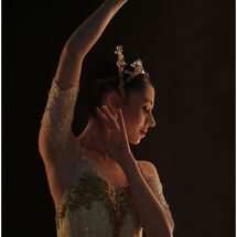 Third John Ellacott_Elegance on Stage