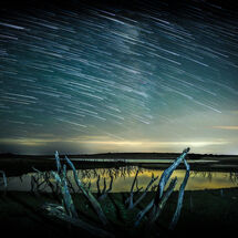 Third Pete Grant Colliford star shower