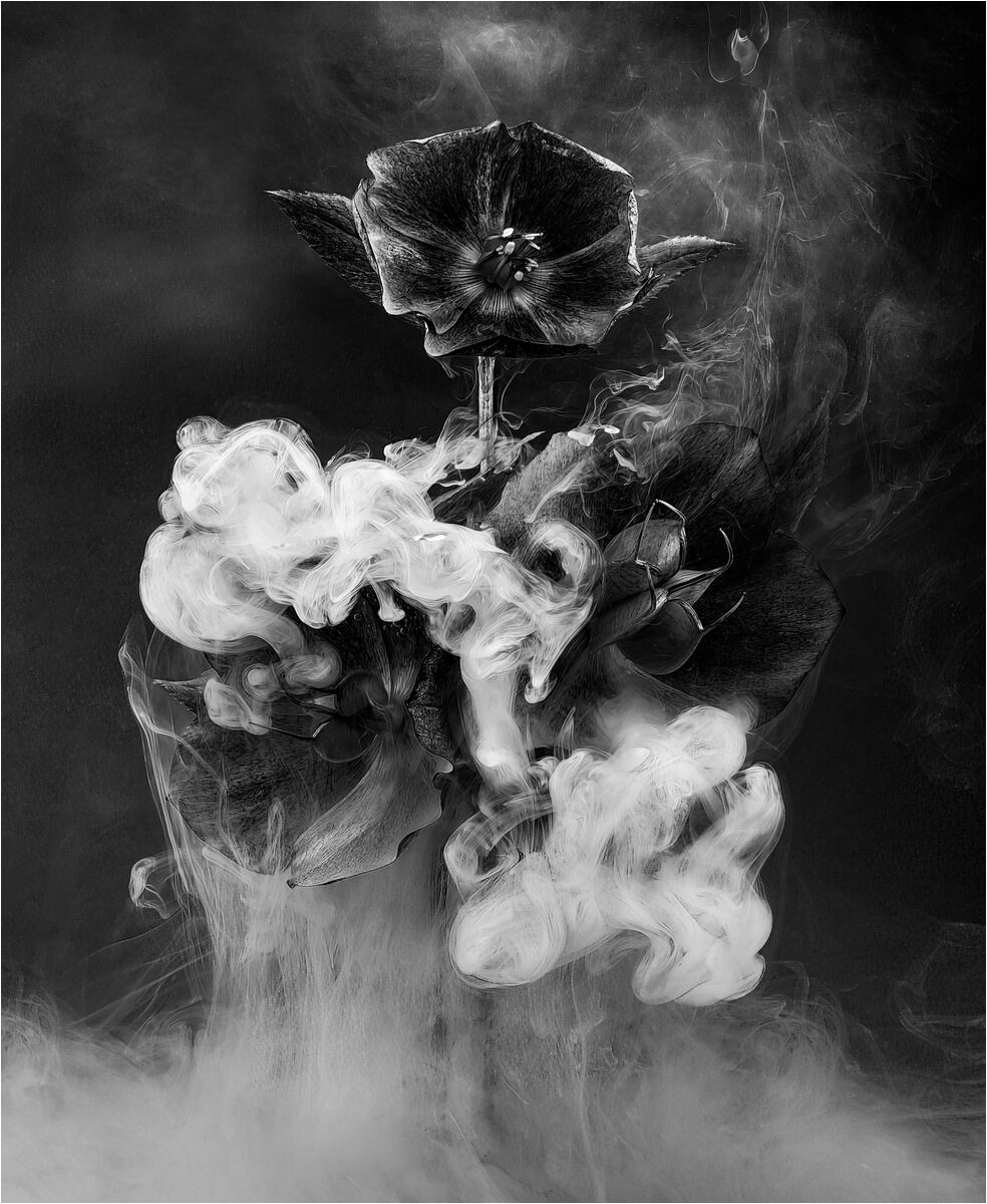 Third Tracey Small Hellenoir