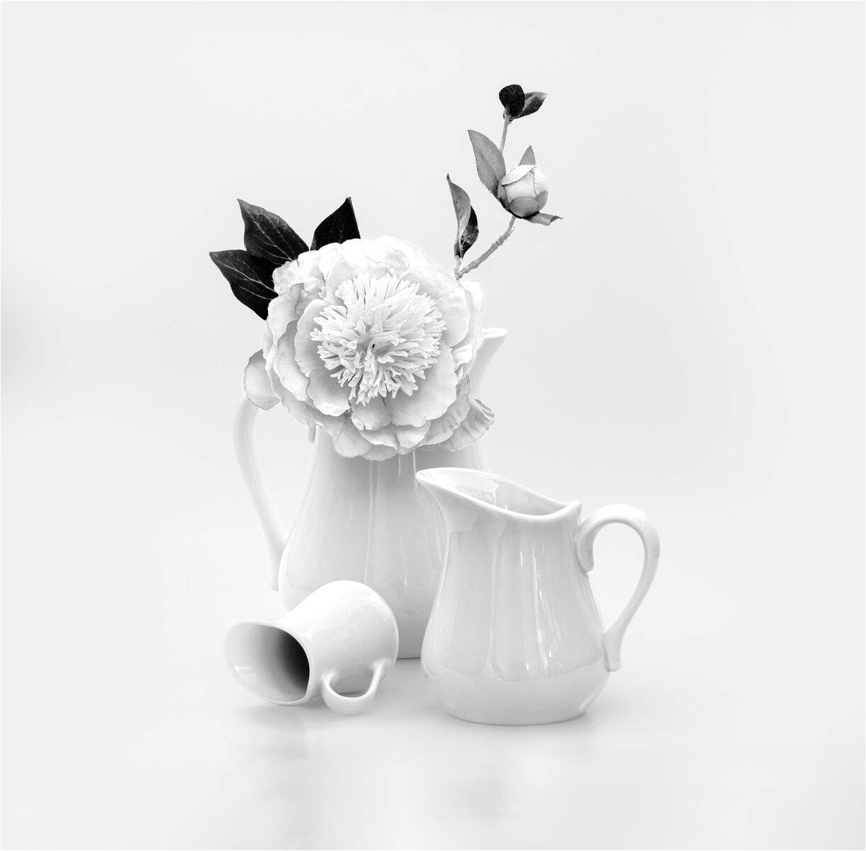 First Tracey Small Purity