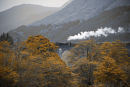 "Hogwarts Express"