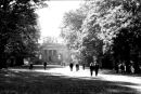 Gibside early autumn