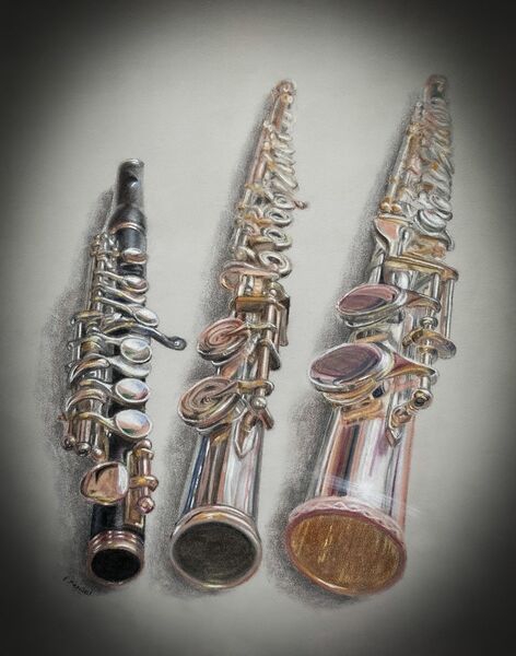 Flute Family (Yamaha YPC-62)/Sankyo Artist Flute/Trevor James Alto