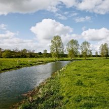 10 Thorpe Abotts Homersfield