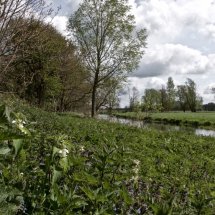 16 Flixton Earsham