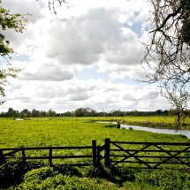 1 Thorpe Abotts Homersfield