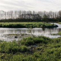 30 Bath Hils Outney Common