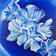 Apple blossom in blue 51x61 Acrylic