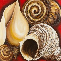 Ballyholme Shells 41x41 Acrylic