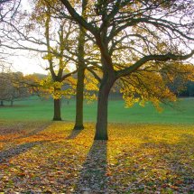 Chantry Park Ipswich Suffolk