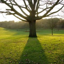 Christchurch Park