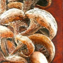 Climbing mushrooms 30x80 Acrylic