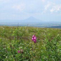 Croagh Patrick County Mayo Ireland