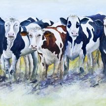Flixton Cows 80x30 Oil on canvas