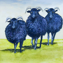 Three Black Sheep 41x41 Oil on board Framed