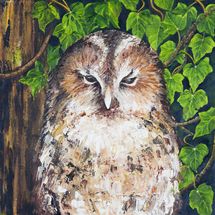 Barn Owl 30x30 Oil on canvas