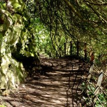 Ilam Staffordshire