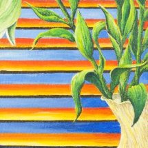 Lillies in front of blind 30x80 Acrylic