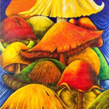 Magic mushrooms 50x70 Acrylic