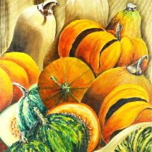 Mixed squashes 51x76 Acrylic