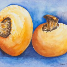 Mushrooms 36x43 Watercolour