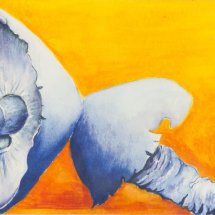 Mushrooms with attitude 36x43 Watercolour