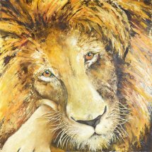 Lion Oil on canvas 75x75