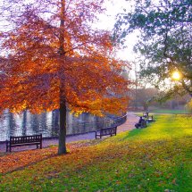 Round Pond Christchurch Park Ipswich