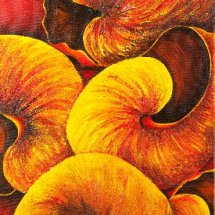 Sizzling snail shells 30x60 Acrylic