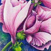 Textured flowers 41x51 Mixed media