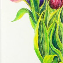 Tulips in a vase 50x70 Acrylic