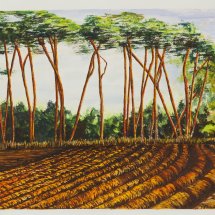 Tunstall 40x50 framed watercolour
