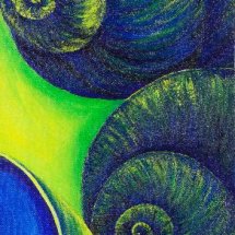 Ultramarine snail shells 20x50 Acrylic