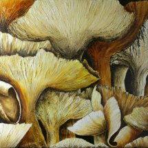 Wild Mushrooms 76x51 Acrylic