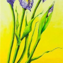 Wild iris japanese style 30x80 Acrylic