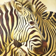 Zebras Oil on canvas 75x75