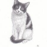 Eiko Matsuura "A Gentle Presence" miniature drawing