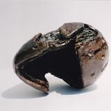 Eiko Matsuura "Empty Seed 1"